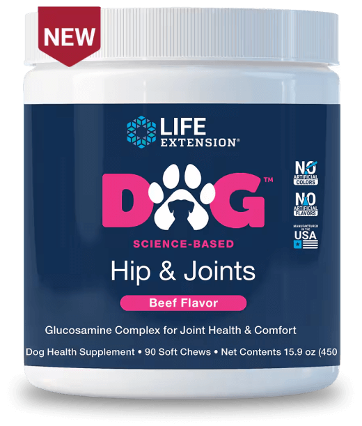 DOG Hip & Joints