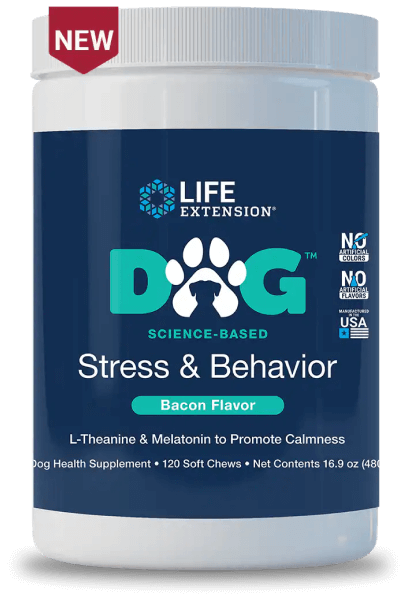 DOG Stress & Behavior